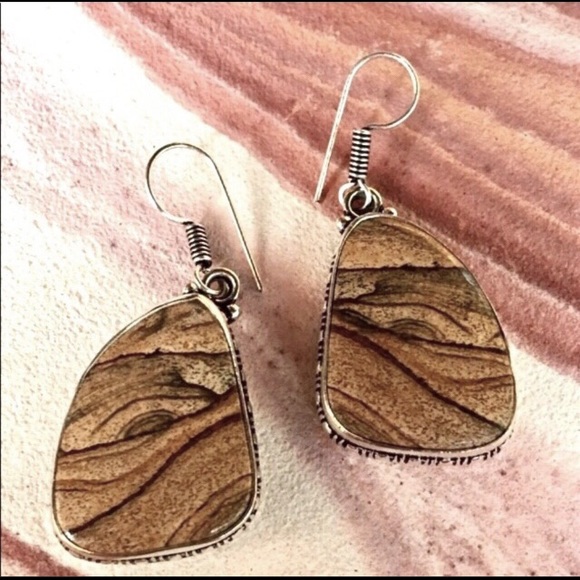Excelencia Jewelry - NEW Picture jasper earrings